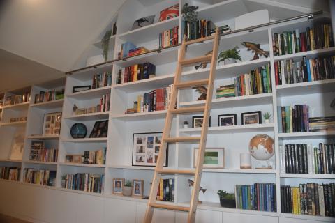 White bookshelves full of books